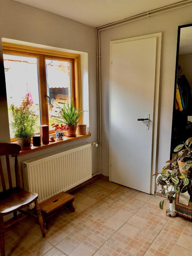 Gemuetliches Studio-Apartment In Ostseenaehe - Cosy Wulfi Probsteierhagen Kültér fotó
