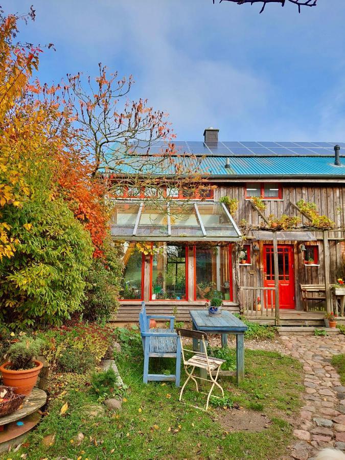 Gemuetliches Studio-Apartment In Ostseenaehe - Cosy Wulfi Probsteierhagen Kültér fotó
